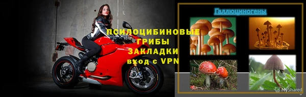 PSILOCYBIN Верхнеуральск
