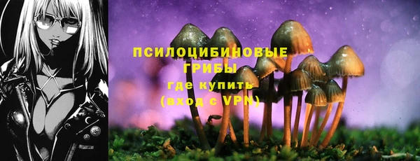 PSILOCYBIN Верхнеуральск