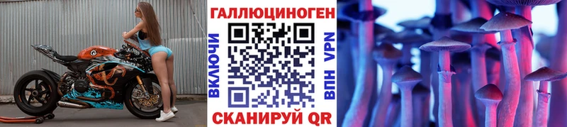 Галлюциногенные грибы Psilocybe  маркетплейс официальный сайт  Ноябрьск 